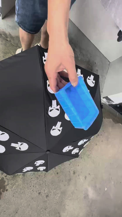 Bunisher color changing umbrella